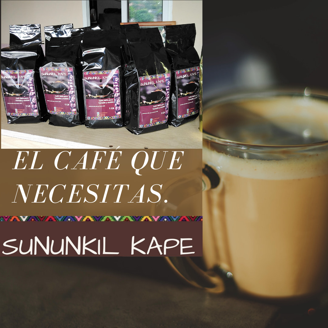 Mujeres sanluiseñas producen café de exportación.